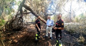 Gosálbez se interesa por los daños del incendio en la Devesa el viernes